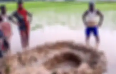 Melihat Bola Api Besar Turun dari Langit dan Terdengar Dentuman, Inilah yang Ditemukan Para Petani