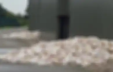 Hadapi Gelombang Panas, Ribuan Ayam Mati Terpanggang dalam 'Penderitaan Ekstrem'