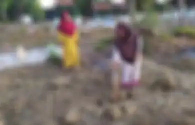 Kuburan untuk Robi, Orang Mati yang Hidup Lagi di Sampang, Ditutup Kembali oleh Warga Setempat