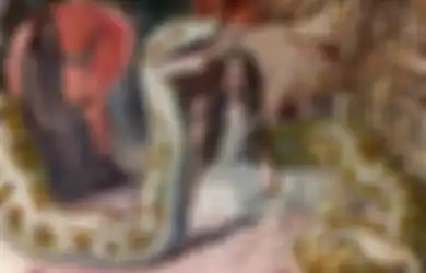 Ritual Tertua di Dunia 70.000 Tahun yang Lalu: Menyembah 'Monster Ular Piton Raksasa' di Pedalaman Afrika di Gunung Para Dewa