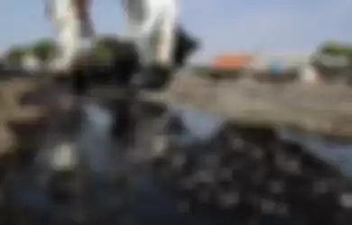 Warga mengumpulkan limbah tumpahan minyak Oil Spill yang tercecer milik Pertamina di Pesisir Pantai Cemarajaya, Karawang, Jawa Barat, Minggu (4/8/2019). Pasir yang tercemar minyak tersebut dikumpulkan dan akan dipindahkan ke pabrik penyimpanan limbah B3 (Bahan Berbahaya dan Beracun) untuk dimusnahkan.