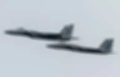 Pilot jet tempur F-15 jelaskan bahwa jet tempur siluman F-35 bisa dikalahkan.