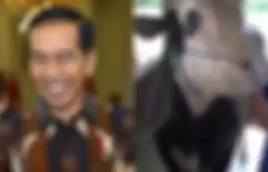 Mike Tyson, si Sapi Kurban Jokowi Senilai Rp 85 Juta Dibelikan Karpet Seharga Satu Unit Smartphone Agar Tidur Nyenyak
