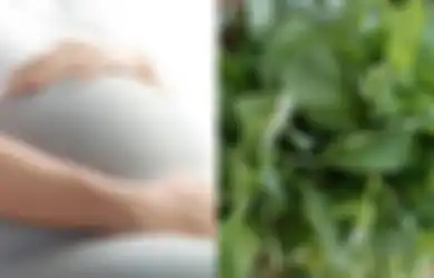 Jangan Ragu Lagi untuk Makan Bayam Selama Kehamilan, Rasakan Manfaatnya, dari Pertahankan Tekanan Darah Hingga Hilangkan Risiko Lahir Prematur