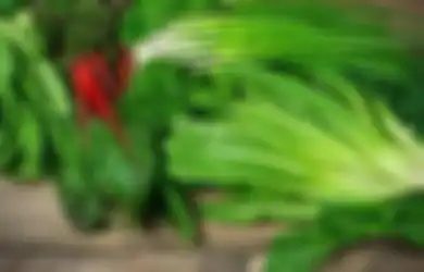 Ramalan Zodiak Kesehatan Hari Ini 25 Maret 2020, Virgo Banyak Makan Sayuran Hijau, dan Capricorn Masukkan Zat Herbal ke Dalam Ritual Mandi Anda