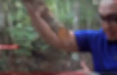 Obat Kanker Ditemukan di Belantara Kalimantan, Ini Seputar Mengenai Tumbuhan 'Mistis' Bajakah yang Curi Perhatian