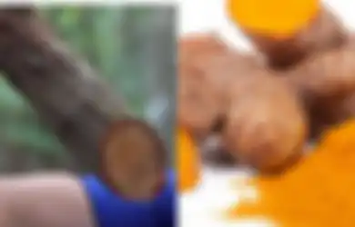 Tak Perlu Jauh-jauh ke Kalimantan Demi Bajakah, Obat Kanker Ada di Dapur Anda dalam Wujud Kunyit, Ini Cara Mengolahnya Menurut Pakar!