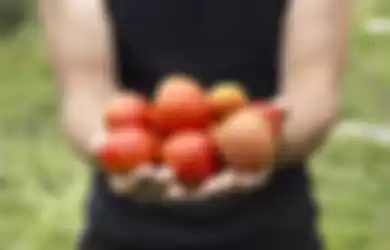 Ilustrasi buah tomat untuk kecantikan.