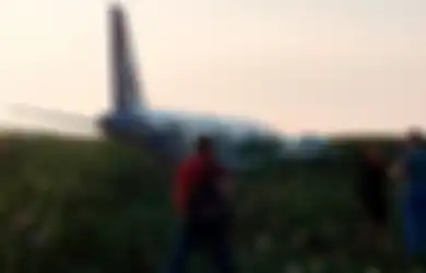 Karena Kawanan Burung, Pilot Ini Lakukan Pendaratan Darurat Pesawat di Ladang Jagung untuk Selamatkan Penumpang