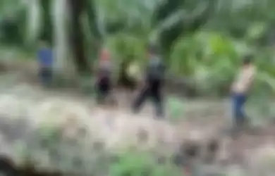 Tim gabungan bersama personel BBKSDA Riau melakukan penyisiran mencari jejak harimau sumatera di Kecamatan Teluk Meranti, Kabupaten Pelalawan, Riau, Rabu (10/4/2019).
