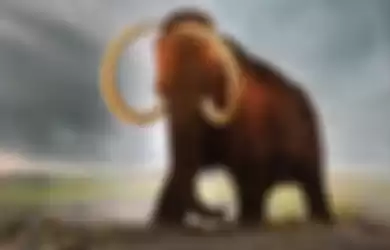 Ilustrasi mammoth