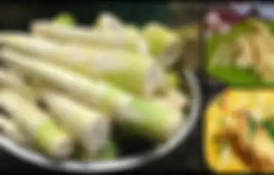 Kabar Gembira Bagi Warga Se-Indonesia, 5 Manfaat Luar Biasa Ini Bisa Anda Dapatkan Jika Rutin Konsumsi Rebung, Termasuk Anti Kanker!