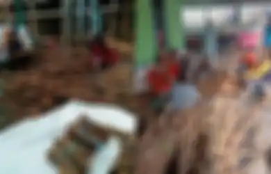 Viral Tanaman Bajakah Bisa Sembuhkan Kanker, Kini Banyak Dijual dengan Harga Jutaan, Tapi Jangan  Asal Mengonsumsinya