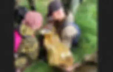 2 Malam Hilang di Hutan yang Dihuni Beruang dan Serigala, Bocah 3 Tahun Ini Ditemukan Selamat