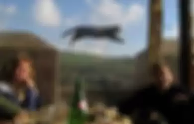 This candid photo turned into proof that cats can fly.