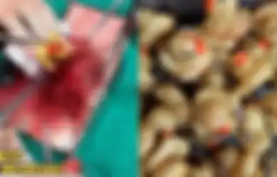 Doyan 'Memangsa' Bebek Karet Mainan, Perut Seekor Anjing Harus Dibedah, Setelah Dikeluarkan Jumlahnya Fantastis