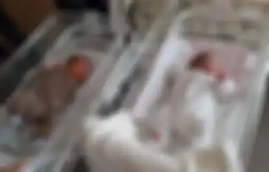 Langka, Dua Bayi Kembar Lahir dengan Jarak 11 Minggu, Sang Ibu: Putraku Tak Terburu-buru Keluar Ke Dunia