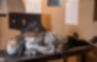 Tikus Akan Gerogoti Perut hingga Tembus ke Usus, Inilah Metode Penyiksaan Paling Mengerikan Sepanjang Sejarah