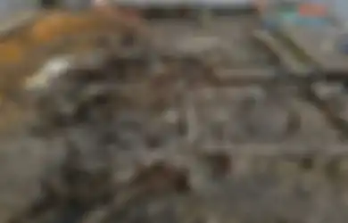 Dari Sampel Kotoran Kuno, Terungkap Tubuh Penduduk Pompeii Inggris Dipenuhi Cacing Pemakan Ginjal, Ini Penyebabnya