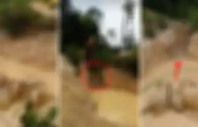 Terperangkap di Tambang Emas Penuh Lumpur, Ini Video Penyelamatan Lima Ekor Gajah yang Melibatkan Alat Berat