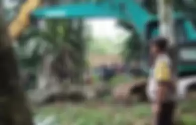 Sebanyak 19 ekor kerbau yang mati akibat disambar petir diangkat menggunakan alat berat dan dikubur dalam satu lubang di Desa Sawo Lamo yang tidak jauh dari lokasi kejadian di Desa Uratan, Andam Dewi, Tapanuli Tengah, Selasa (20/8//2019) sore. 
