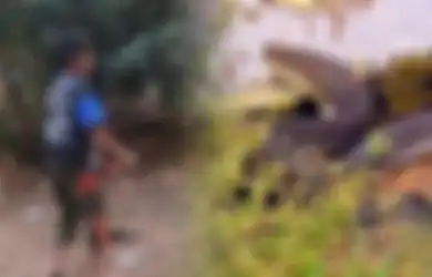Miliki Kebiasaan Aneh Gigit Ular Sampai Mati, Tim Medis Ungkap Penyakit yang Diidap Rizki Sebenarnya