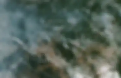 Citra Satelit NASA Tangkap Pemandangan Mengerikan Kebakaran Hutan Amazon