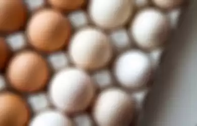 Ilustrasi telur bercangkang cokelat dan putih