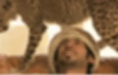 Fakta Memilukan Cheetah, Dibeli Orang Kaya Seharga Rp142 Juta Hanya Untuk Hal Ini Hingga Jadi Terancam Punah