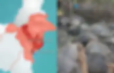 BERITA POPULER: Perkantoran Bekas di Jakarta Akan Diubah Jadi Taman Hingga Seorang Warga dan 19 Kerbau Disambar Petir Bersama