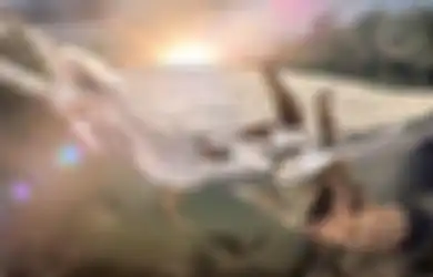 Sebelum Dinosaurus Ada, 2 Miliar Tahun yang Lalu Kepunahan Massal yang Tidak Kita Ketahui Terjadi untuk Pertama Kali