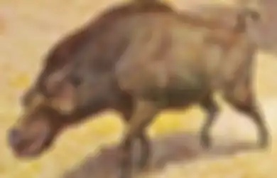 Bobotnya Bisa Capai 900 Kg, Inilah 'Babi Neraka' Spesies Seukuran Kuda Berahang Mirip Buaya dengan Gigi Setebal Pergelangan Tangan Manusia