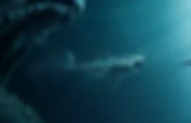 Panjang Giginya Saja Bisa Capai 17 cm, Mungkinkah Megalodon Masih Hidup Bersembunyi Jauh di Kedalaman Lautan?