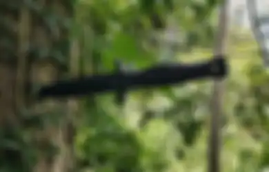 Tutup Mata Istrinya dan Bilang Punya Hadiah, Seorang Suami Justru Tikam Punggungnya, Begini Respon Istrinya yang Tak Terduga