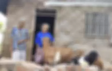 Icih dan Uka, dua lansia kakak-beradik tinggal bersama belasan kambing di dalam rumahnya