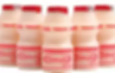 Botol kemasan minuman Yakult