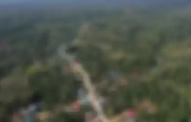 Foto aerial kawasan Kecamatan Sepaku, Penajam Paser Utara. 