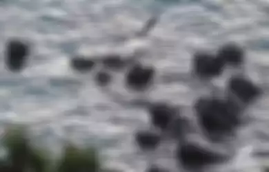 Sebuah video memperlihatkan segerombolan paus pilot berenang berdesakan dalam lingakaran yang sempit sebelum diburu dan dibantai oleh nelayan