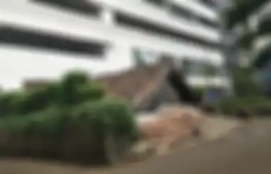 Cerita Lies yang Pertahankan Rumah Reyotnya di Dalam Kompleks Apartemen Mewah, Tak Tergiur Meski Rumahnya Ditawar Rp3 Miliar hingga Diteror Preman