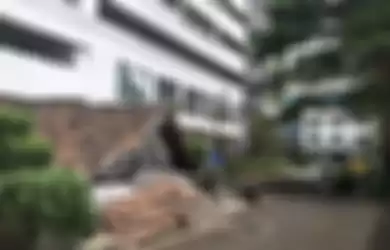 7 Fakta Rumah Mungil yang Viral Berada di Tengah Kawasan Apartemen Mewah,