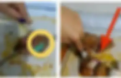 Masih Ingat Video Daging Rendang yang Diduga Berisi Narkoba? Ternyata Ini Fakta Sebenarnya, Bukan Terjadi di Indonesia!