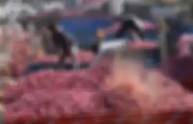 Harga Bawang Merah Melonjak Tajam Menyalip Harga Apel, Apa yang Sedang Terjadi di India?