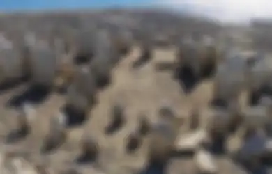 Terdapat Ukiran Ular di 'Stonehenge' Berusia 4.000 Tahun yang Muncul dari Dasar Air Ini, Apa Maknanya?
