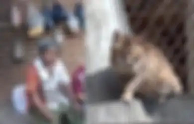 Kakak Beradik Ini Nekat Makan Kucing Sebagai Pengganti Nasi, 'Keluarganya Tidak Ada, Hanya Berdua Saja'