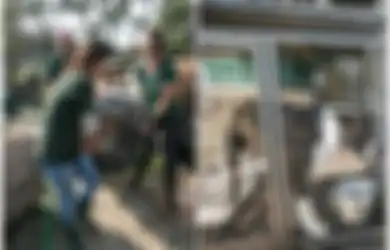 Kisah Memilukan Anjing-anjing yang Ditampung untuk Dibantai, 'Tak Heran Mereka Putus Asa untuk Melarikan Diri'