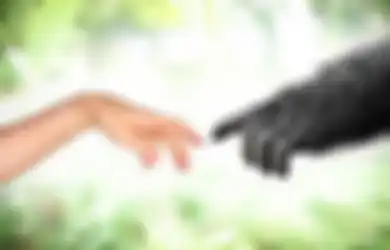 Jangan Ditanyakan Lagi, Ini Alasan Mengapa Kera Sekarang Tidak Berevolusi Jadi Manusia