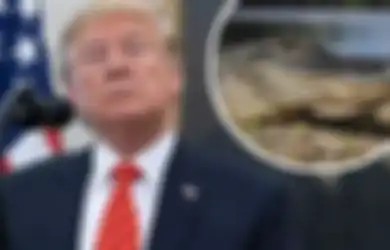 Rencana Gila Donald Trump, Ingin Kelilingi Amerika dengan Parit Berisi Buaya dan Ular Berbisa Demi Menghindari Imigran Ilegal