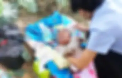 Kisah Ajaib Bayi yang Dibuang Hingga Dikerubuti Semut, Tapi Selamat dari Maut Karena Hal Ini