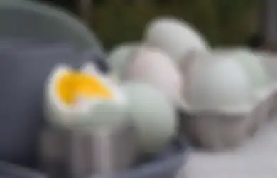 Ingin Bertahan Lama di Tempat Tidur Bersama Pasangan Anda, Coba Minum Ramuan Kuning Telur Bebek dan Gula Ini, Rasakan Sendiri Efeknya yang Luar Biasa!