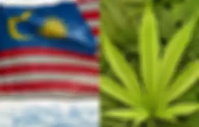 Malaysia berebcana melgalkan ganja.